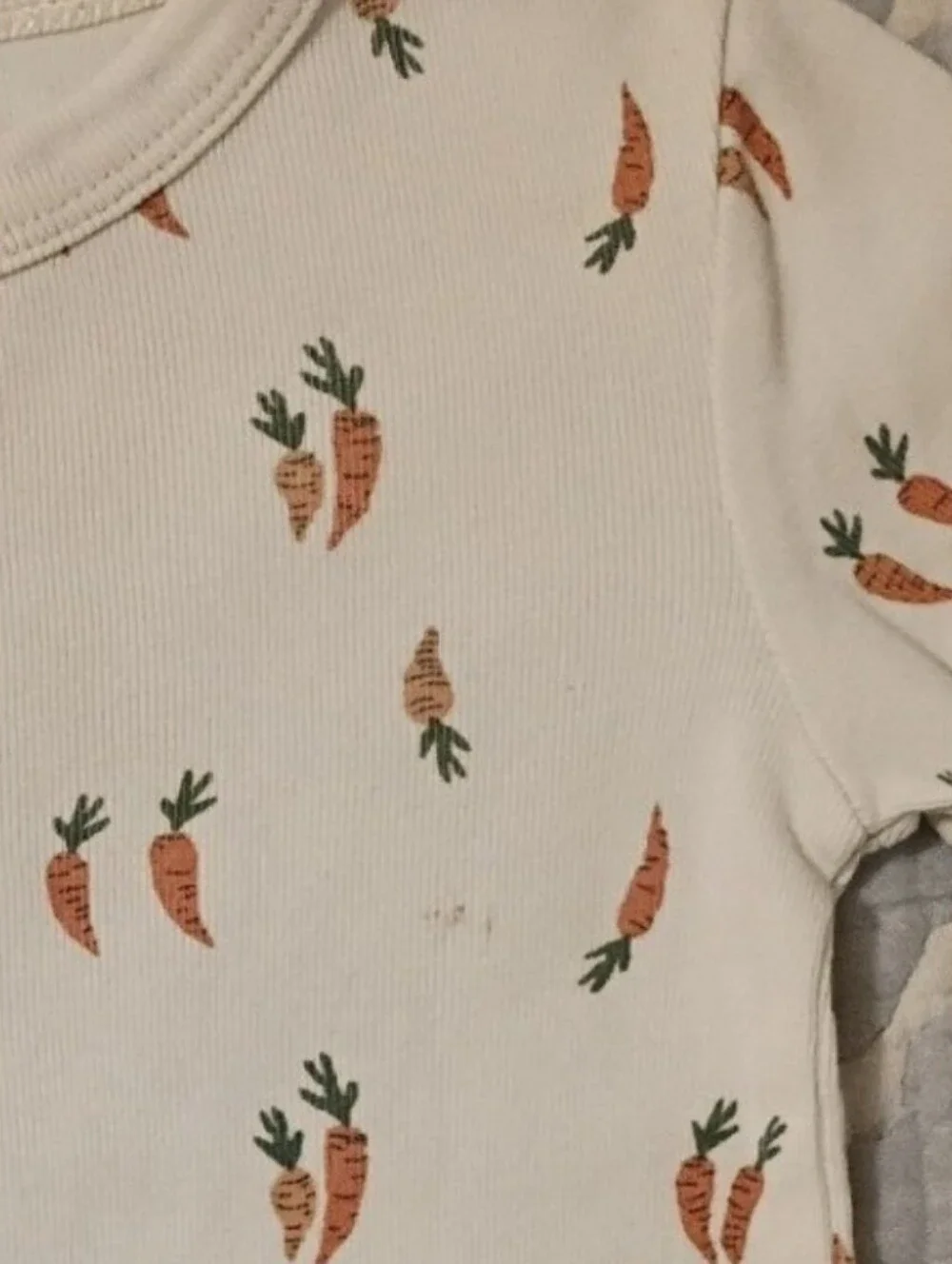 Fin & Vince Carrot Track T-shirt & Shorts 18-24 Months
